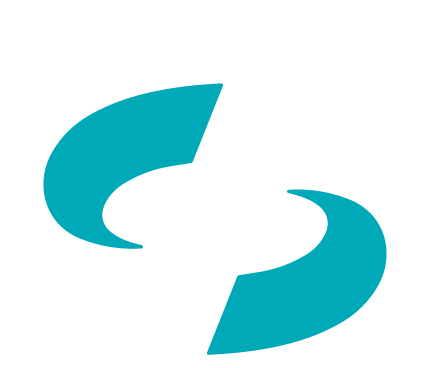 WEB SINERGY-11