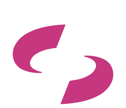 WEB SINERGY-12